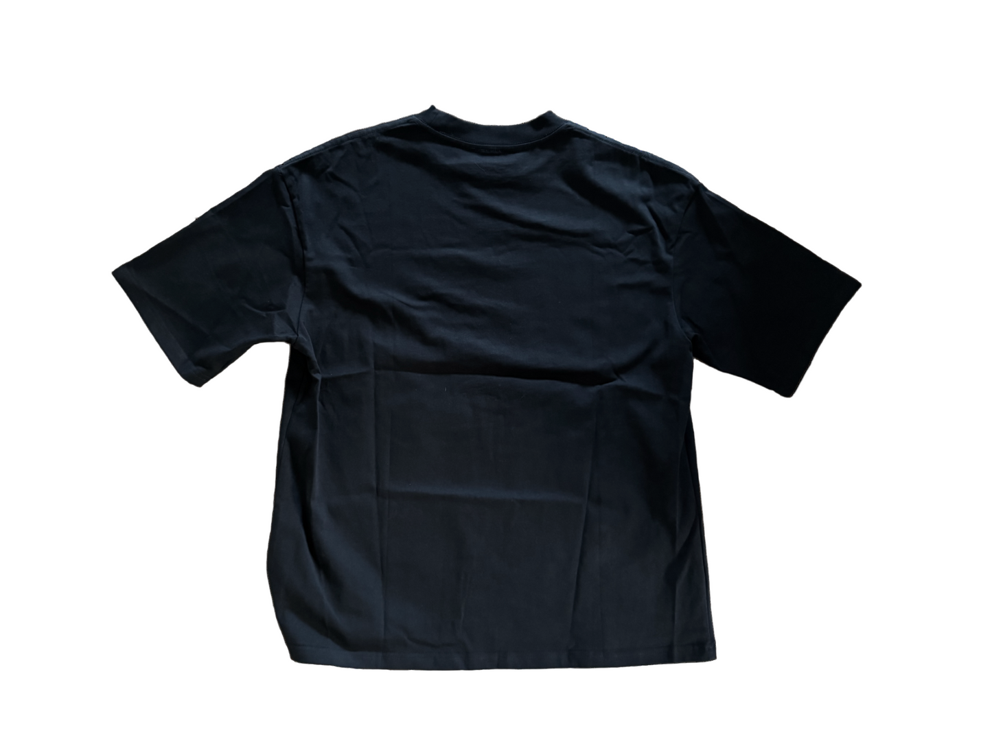 Dammi Falastini T-shirt