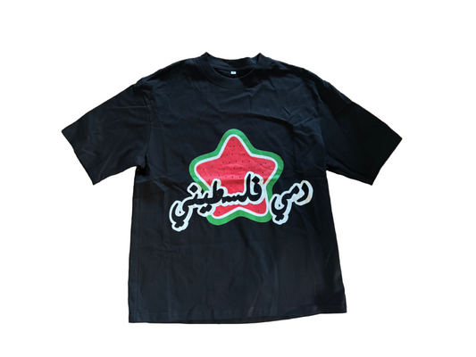 Dammi Falastini T-shirt